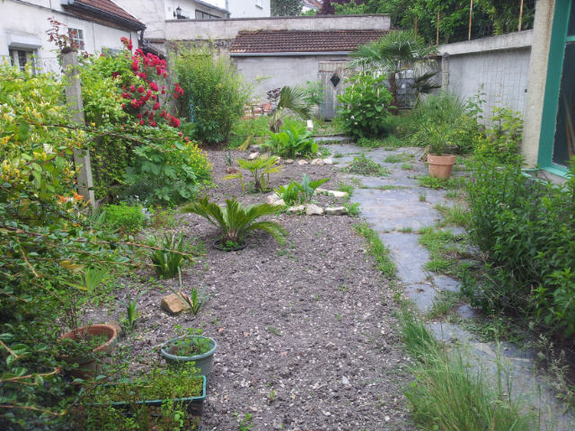 jardin 20120610_171842.jpg