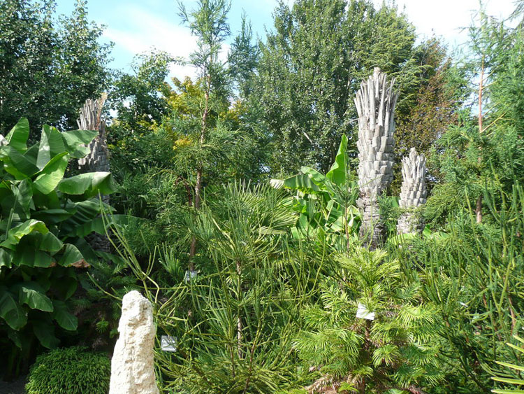 Butia abimés par le froid?