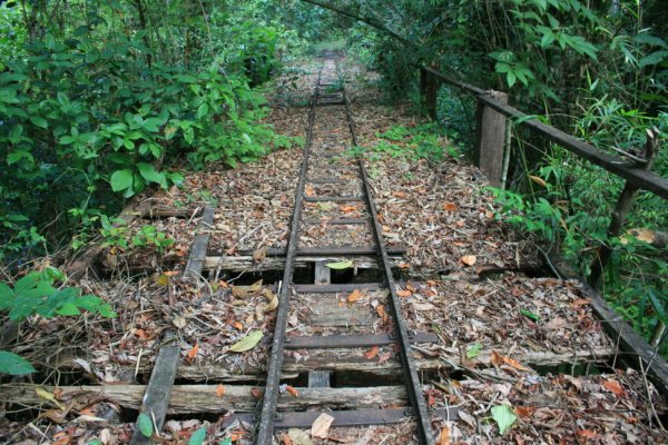 les rails des wagonnets qui contournait le saut Maripa