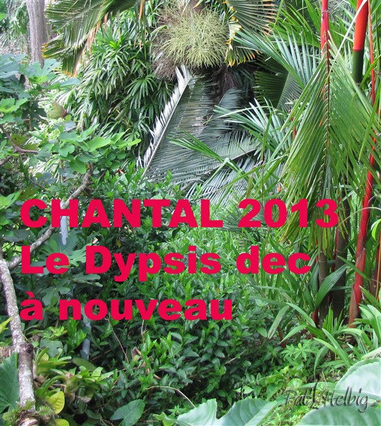 Tempête tropicale Chantal.jpg
