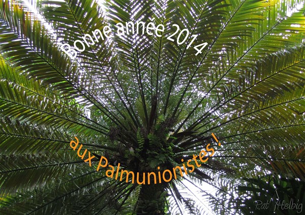 Bonne année aux Palmunionistes.jpg