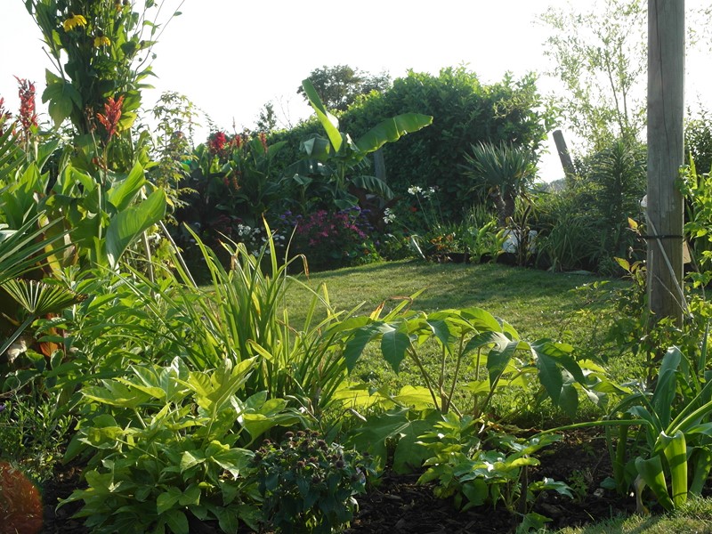 Le border tout au font du jardin