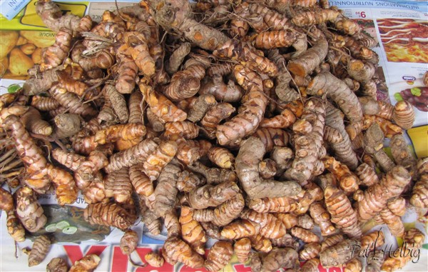 curcuma longa du jardin anti-inflammatoire naturel.jpg