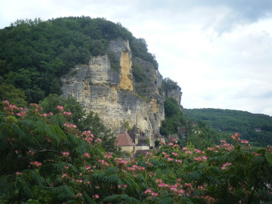 Des albizias magnifique vue sur le village.