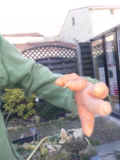 Voilà ,le Jardinier d'Halloween.