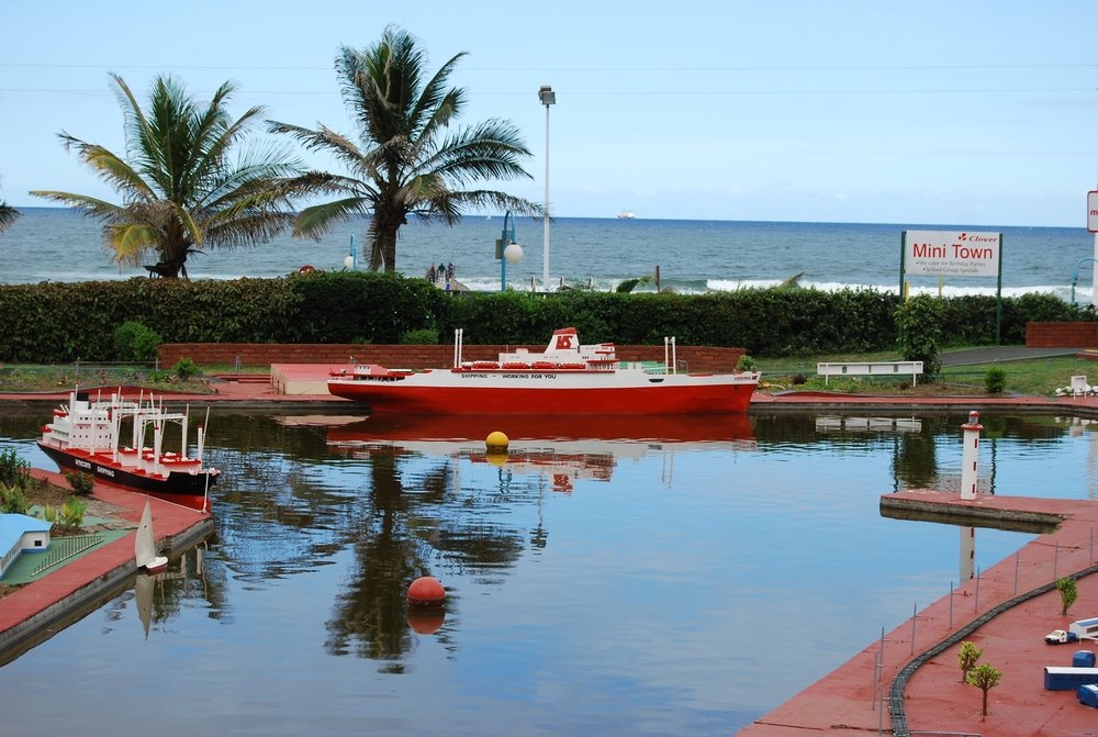 en voici à durban par 29°50 de latitude c'est pas mal pour un cocotier mais comme tu peux voir les feuilles même aérienne sont grillées elle sont plus courtes qu'un cocotier en zone équatoriale et cela sont des types grands tu vois comment ils se sont nanifiés