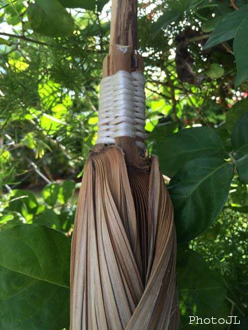 3 balai réalisé avec les palmes de Coccothrinax barbadensis. Les attaches qui fixent les palmes au manche ont évolué et ont été remplacées par de la corde synthétique!.jpg