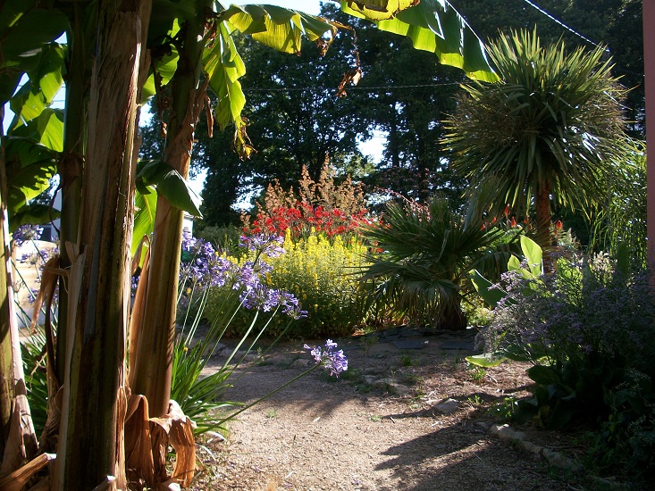 entrée de maison.JPG