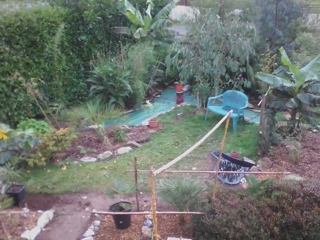 Ma future jungle :)