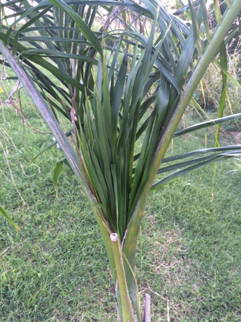 image2.JPG