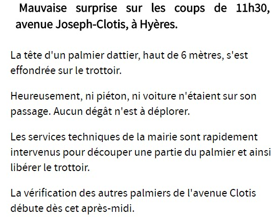 Chute palmier texte.PNG