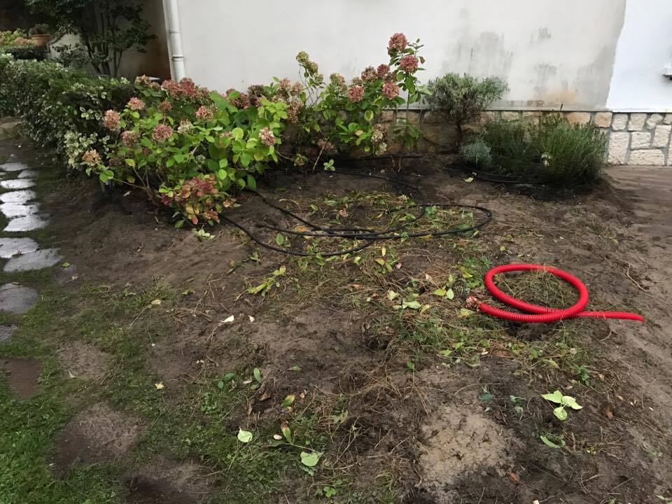 Regroupement des hortensias