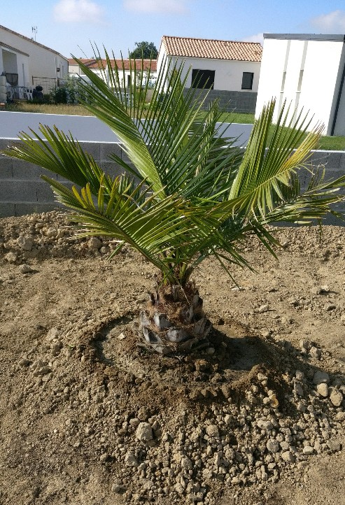 Palier juste après la mise en terre