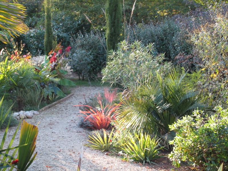 jardin été automne 2017 067 (800x600).jpg