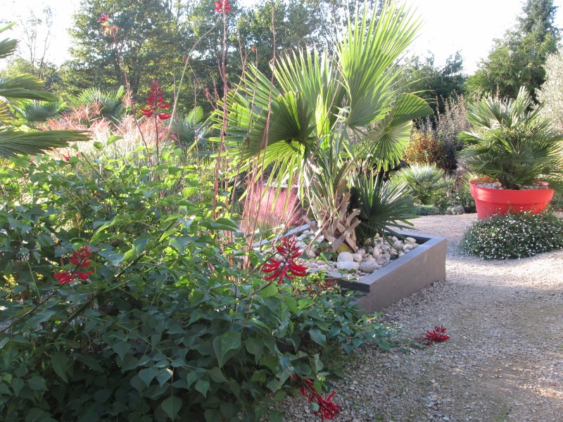 jardin été automne 2017 072 (800x600).jpg