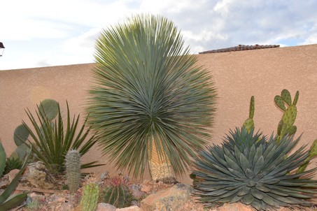 massif mexicain fev 2018 4 réduite.jpg