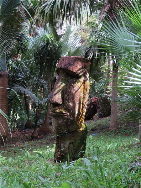 Le moaï en fougère arborescente est la sentinelle de la palmeraie depuis 2005.jpg
