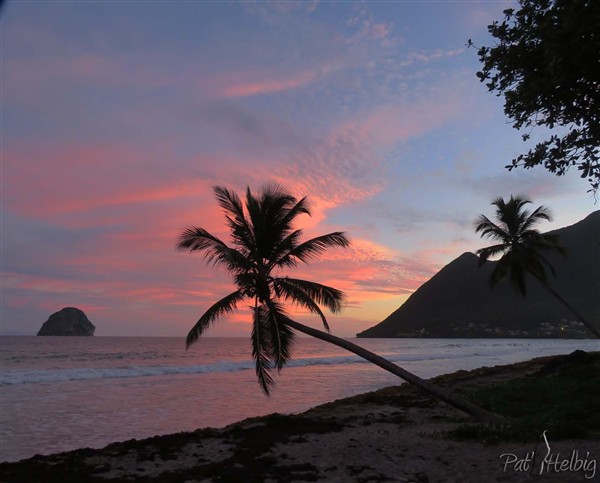 Sur l'immense plage du Diamant,les sargasses ne retirent pas le plaisir du crépuscule!.jpg