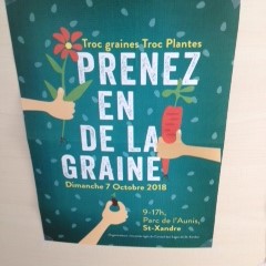 Prenez-en de la graine!.JPG