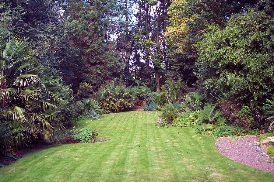 jardin 900.jpg