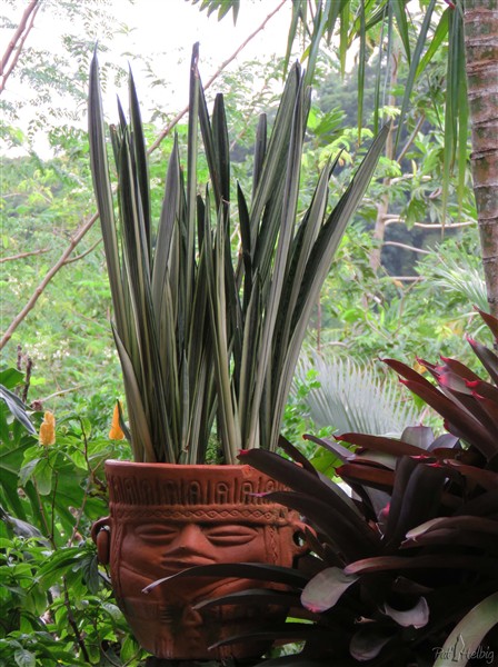 Atmosphère mexicaine à l'entrée du jardin. Les Mayas accueillent 1.jpg