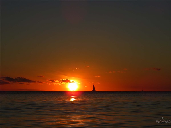 Le soleil va se coucher derrière l'horizon et les derniers voiliers rentrent..jpg
