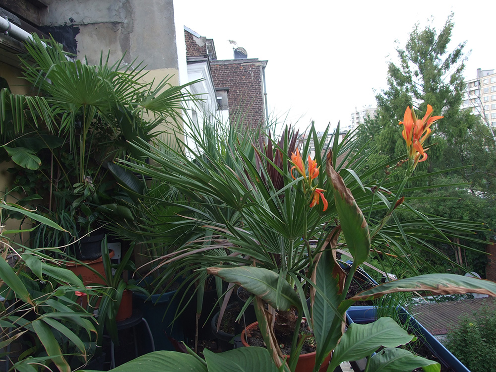 Vue d'ensemble de la terrasse..