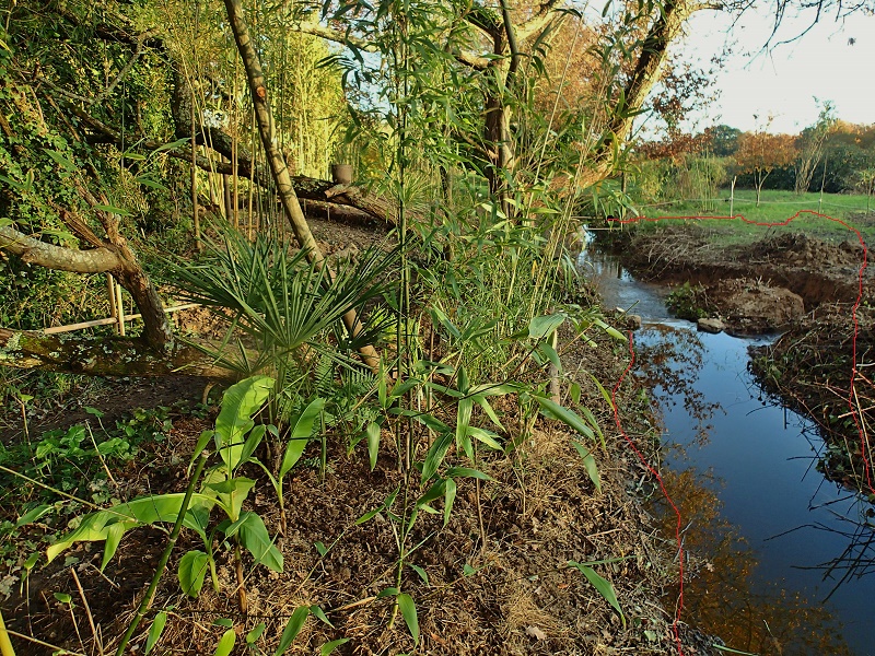 travaux ruisseau2.jpg