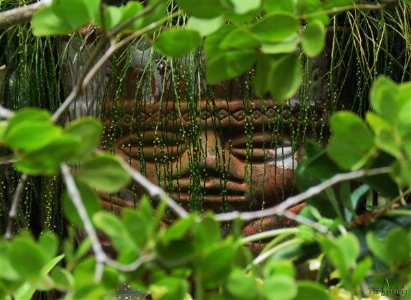 L'esprit maya veille toujours sur le jardin....jpg