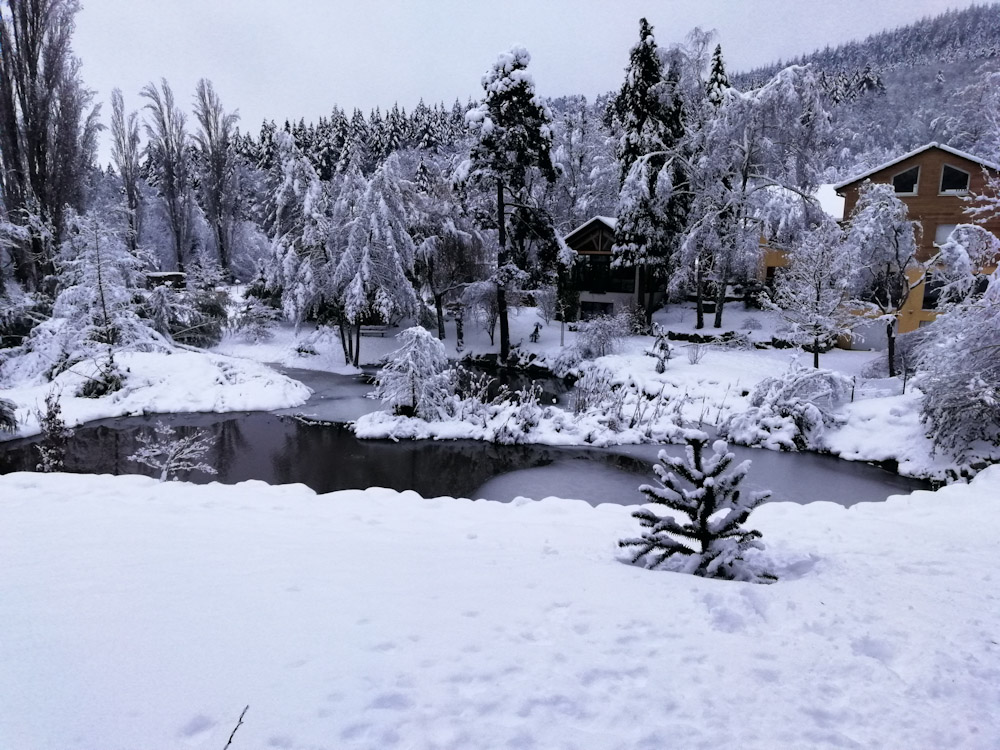 Vue d'une partie du parc