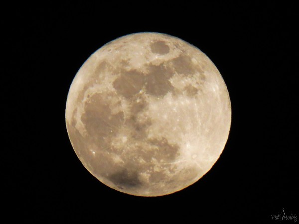 Et la dernière pleine lune au dessus de la palmeraie....jpg