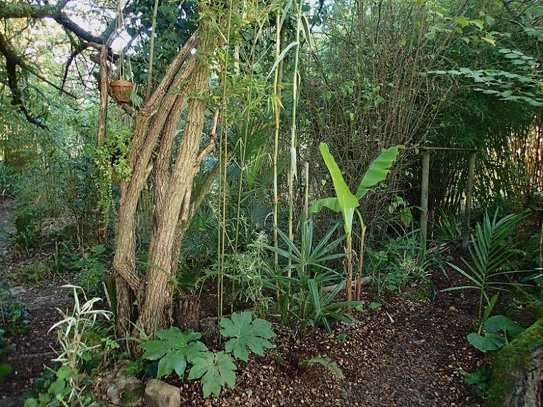 plantation talus.JPG