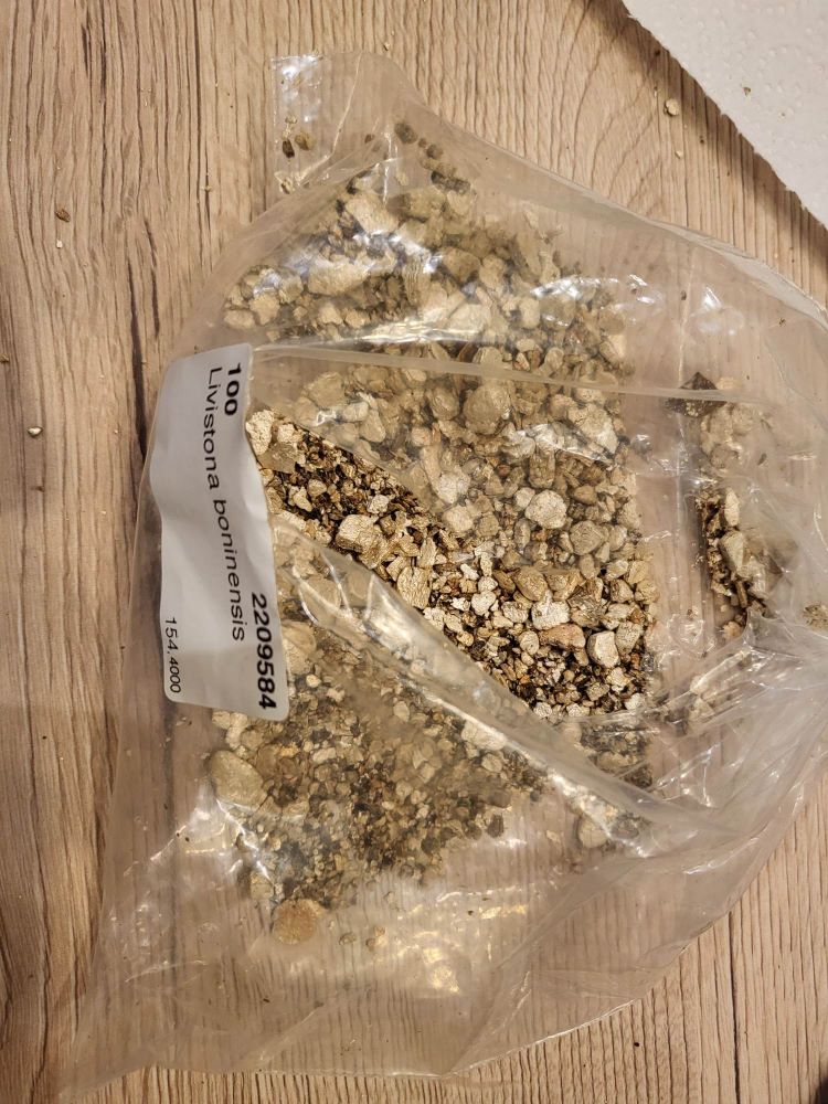 vermiculite 2.jpg