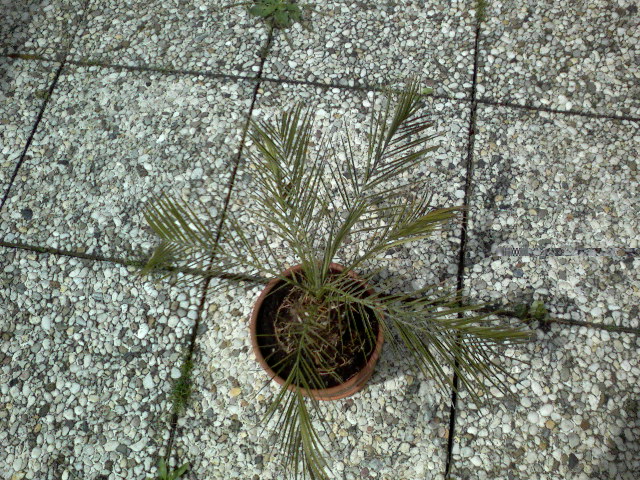 SP_A0059.jpg