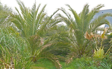 Le même (à gauche) en avril 2012.