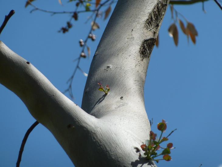 P1050447bis.jpg