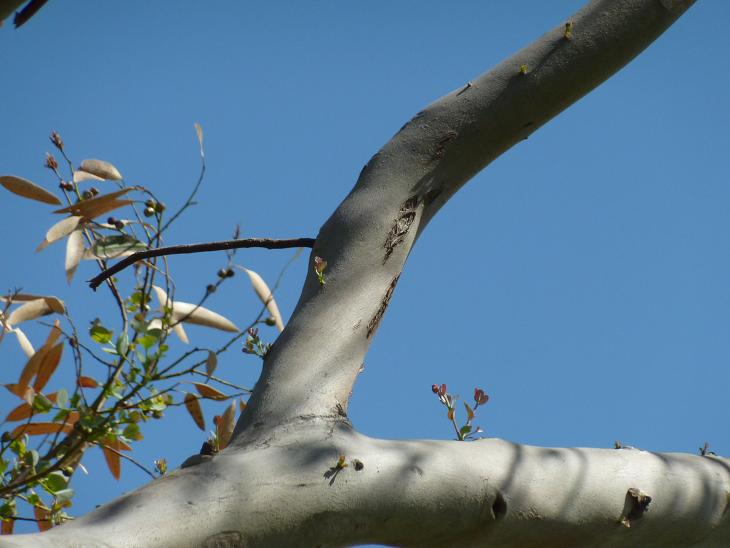 P1050448bis.jpg