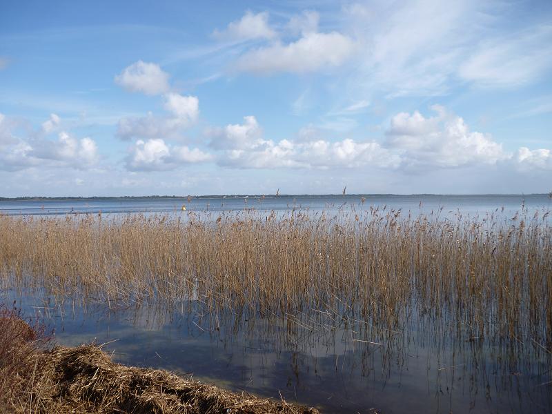 lac.jpg