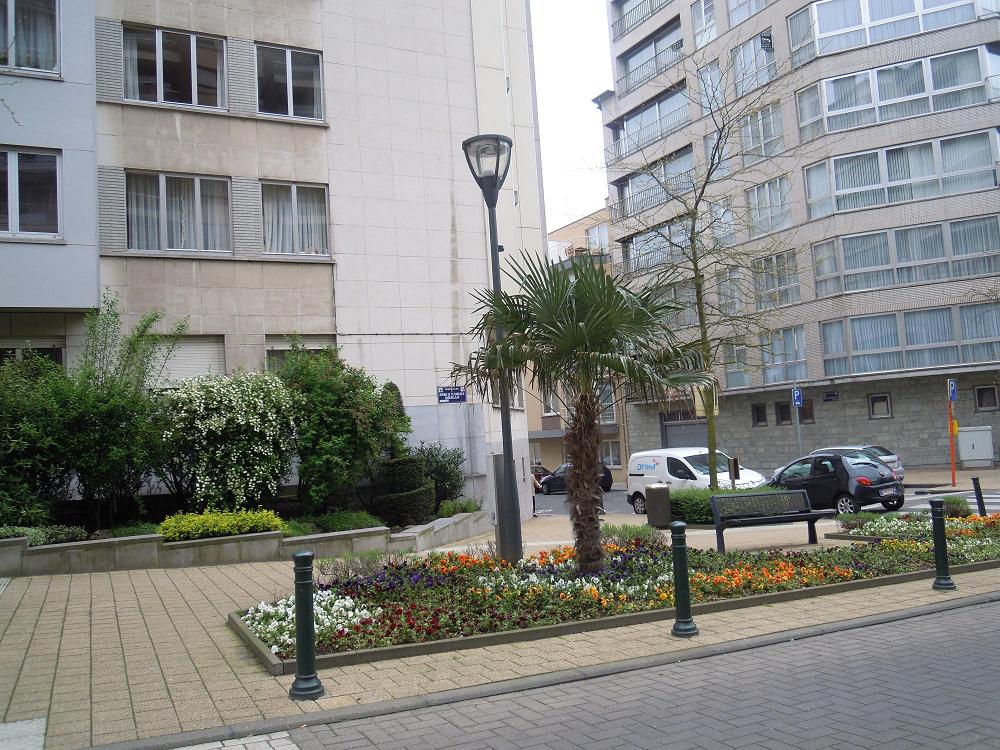 DSCN0429.jpg