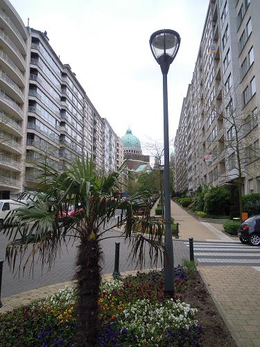 DSCN0431.jpg