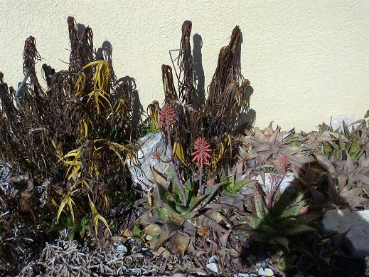 06052012066bis.jpg