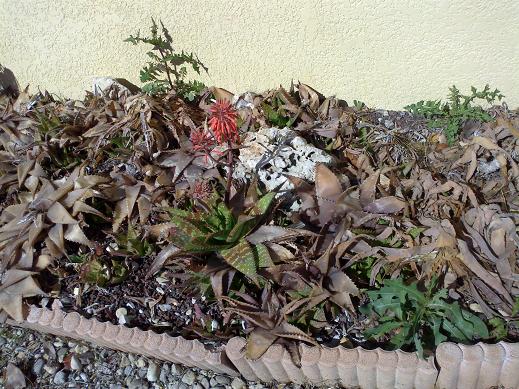 06052012067bis.jpg