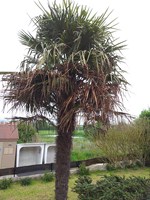 2012-05-06 18.30.47 (Copier).jpg