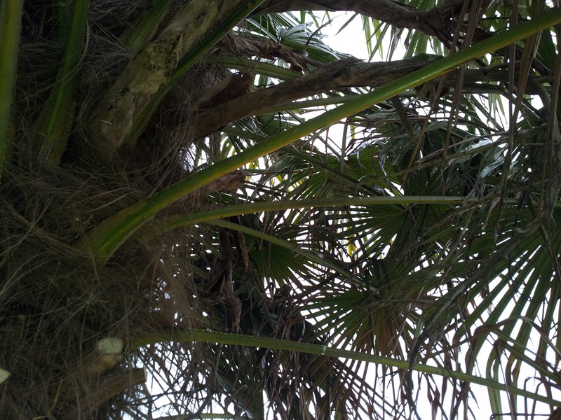 2012-05-06 18.51.00 (Copier).jpg