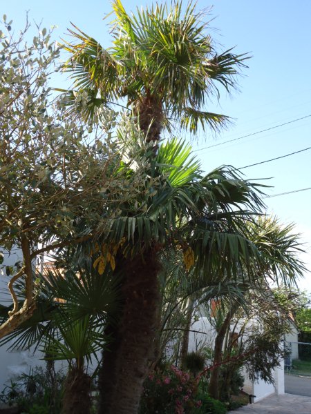 DSC00561.jpg