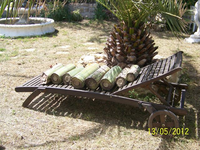 100_0074 [640x480].JPG