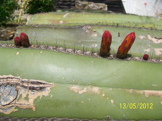 100_0078 [640x480].JPG