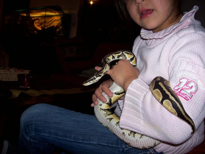 Photo 239.jpg