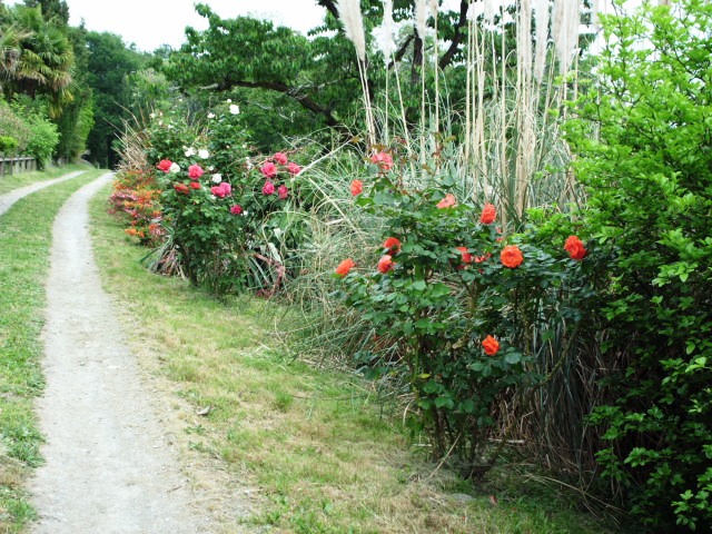 HPIM0745.JPG