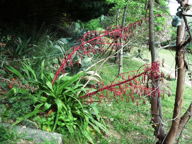HPIM0749.JPG